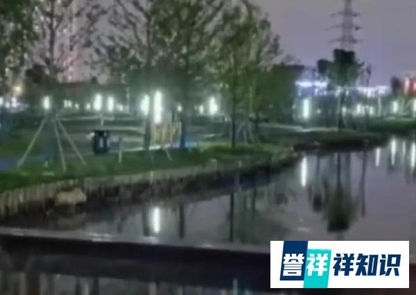 耗资千万元建成公园使用不到五个月就拆了？村民：他们真的是有钱了