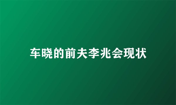 车晓的前夫李兆会现状