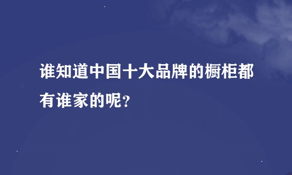 谁知道中国十大品牌的橱柜都有谁家的呢？