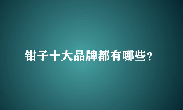 钳子十大品牌都有哪些？