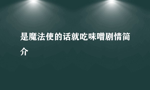 是魔法使的话就吃味噌剧情简介