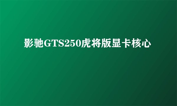 影驰GTS250虎将版显卡核心