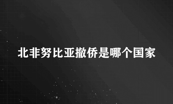 北非努比亚撤侨是哪个国家